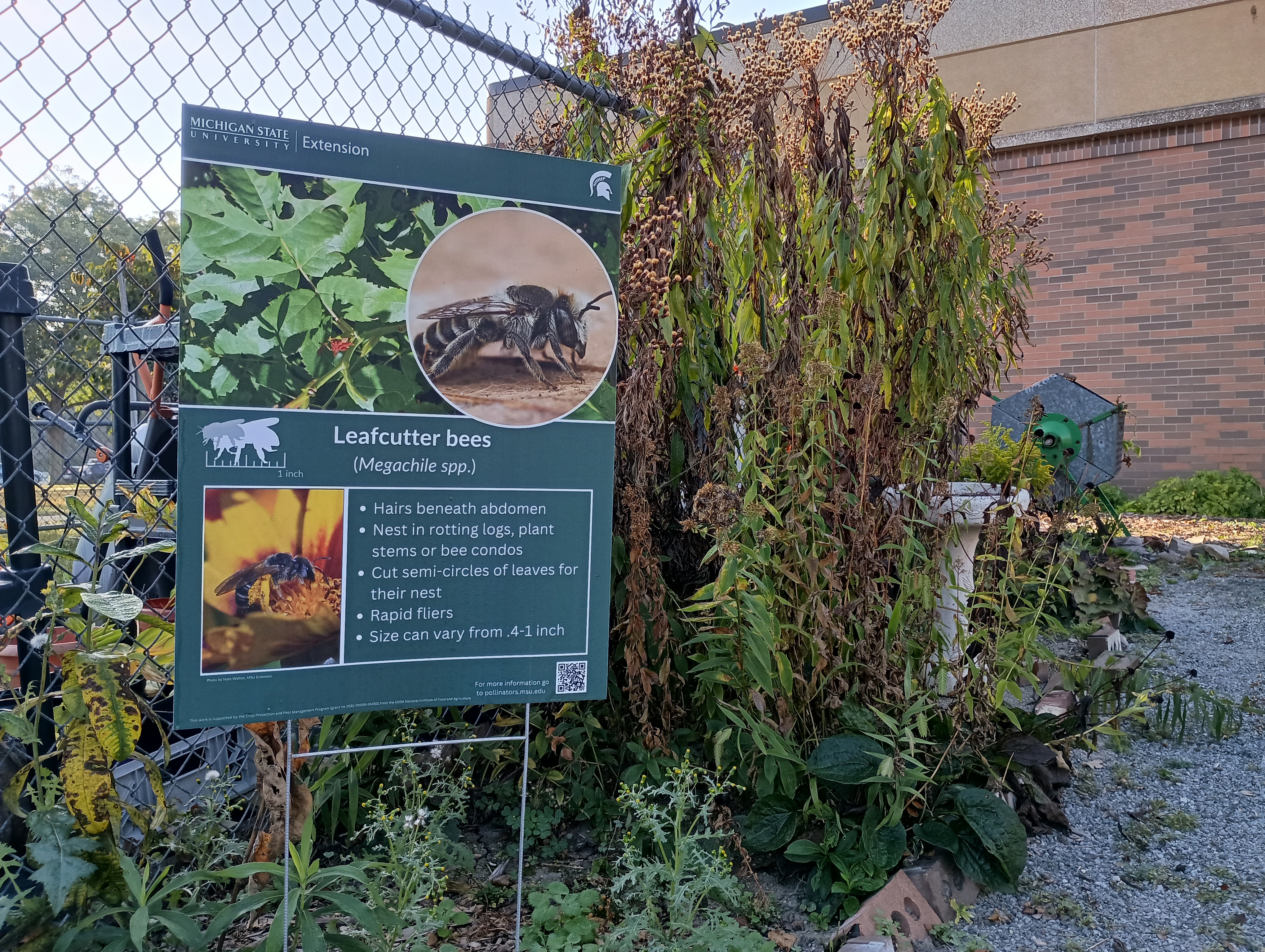 A pollinator sign about leafcutter bees in a Michigan garden.